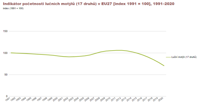 Stav denních motýlů