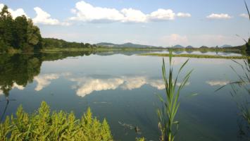 mzp_mokrad_129_2970NovozámeckýRybník