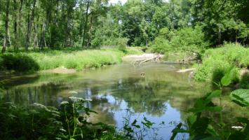 mzp_mokrad_NPR_Ramen_ řeky_Moravy_II