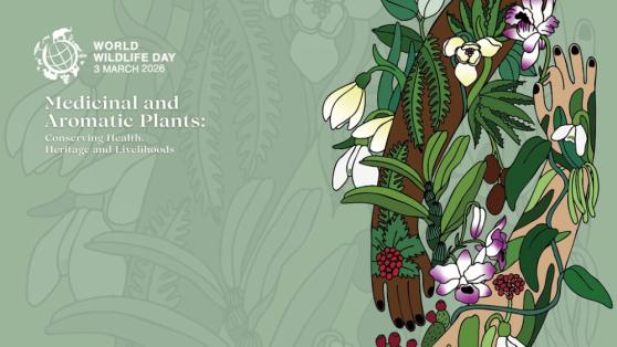 Světový den divoké přírody